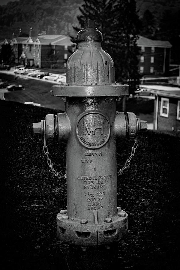 Mh Valve 129 Hydrant Photograph By Enzwell Designs