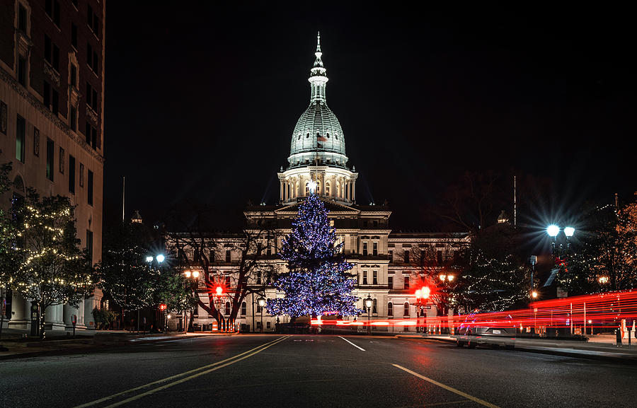 MI Capitol Tree Photograph by Carol Ward - Pixels