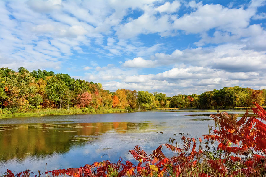 Mi Fall on Duck Pond Photograph by LeeAnn McLaneGoetz ...