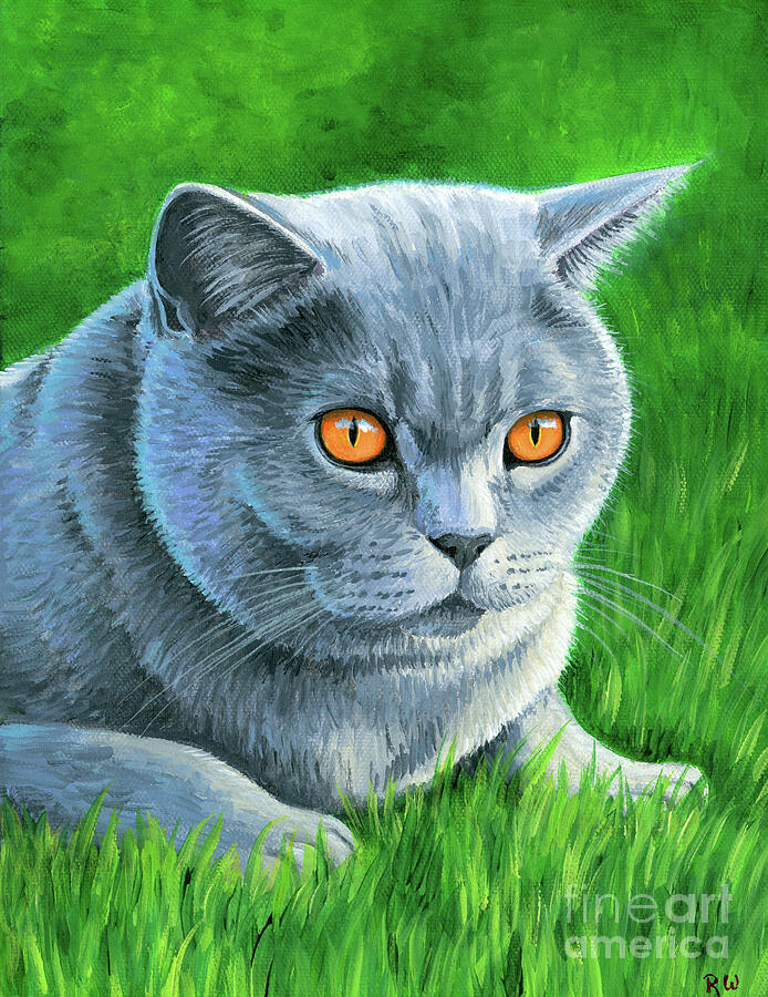Cat Painting - Mia the British Shorthair Cat by Rebecca Wang