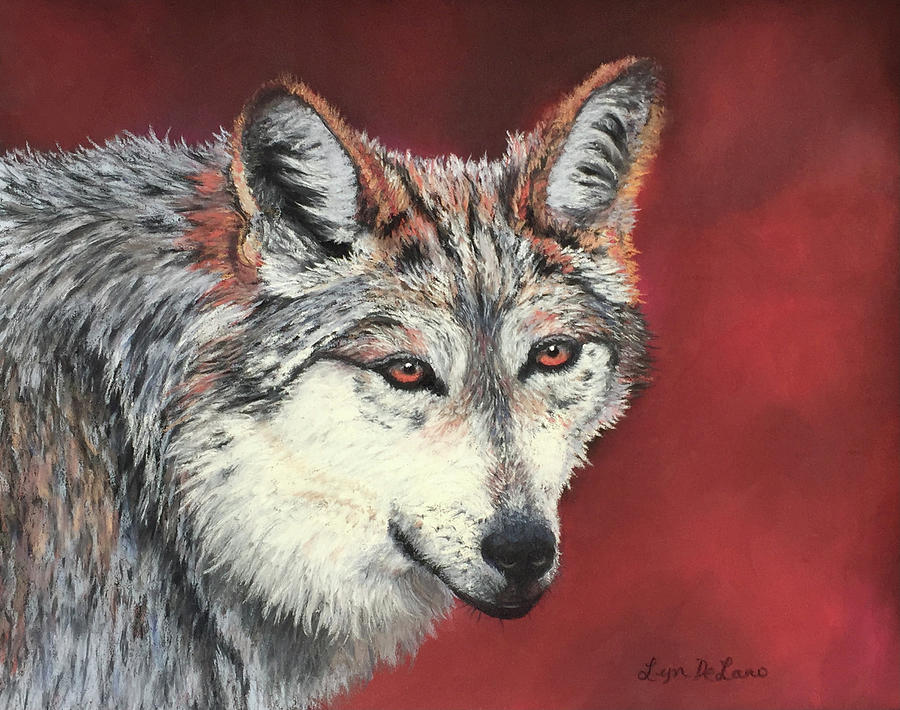 Miakoda Mexican Wolf Pastel by Lyn DeLano