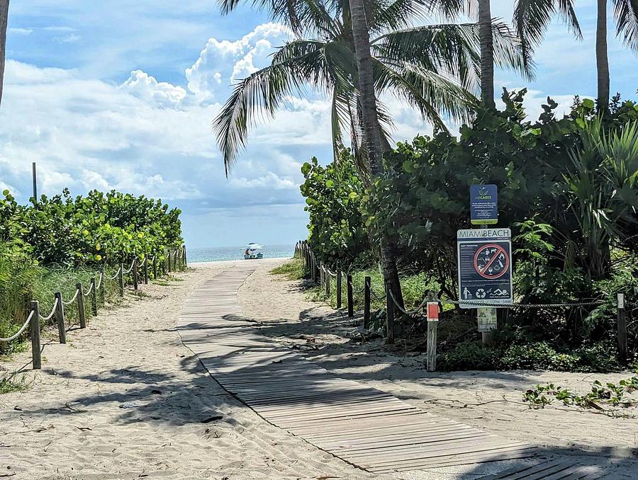 Miami Beach 3 Photograph by Svilenka Dankova Miami Beach 3 Photograph by Svilenka Dankova