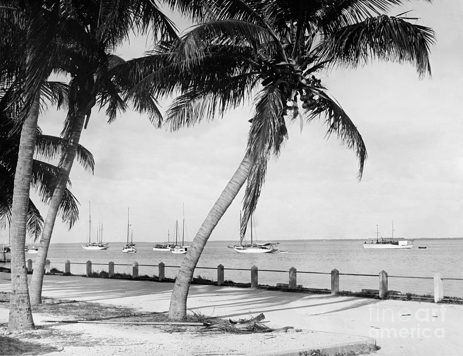 Miami, Florida, c1915 Photograph by Granger