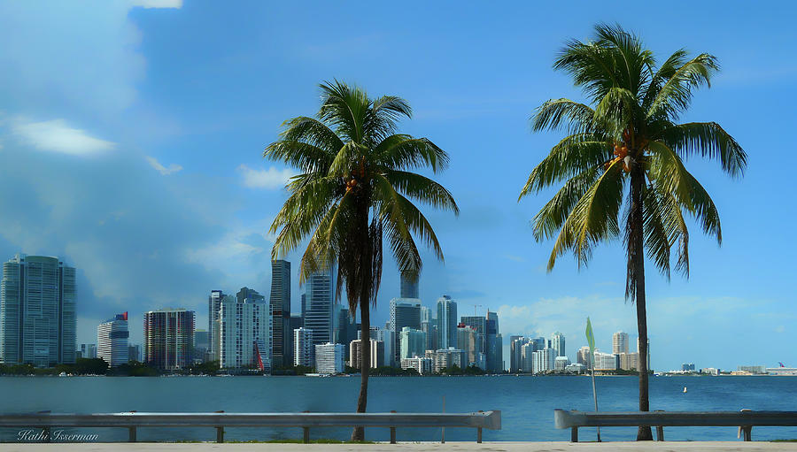 Miami in the Summer Photograph by Kathi Isserman