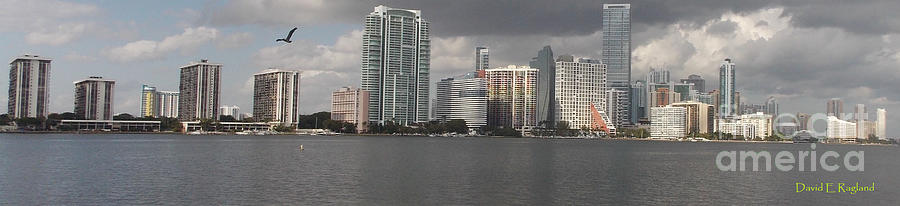 Miami Skyline Photograph by David Ragland