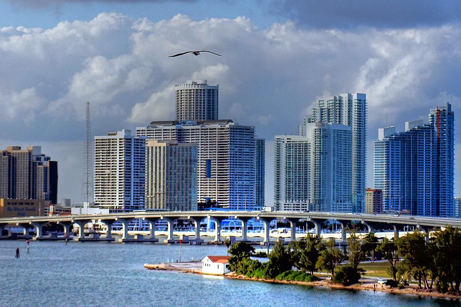 Miami Skyline Photograph by Dean Williams - Fine Art America