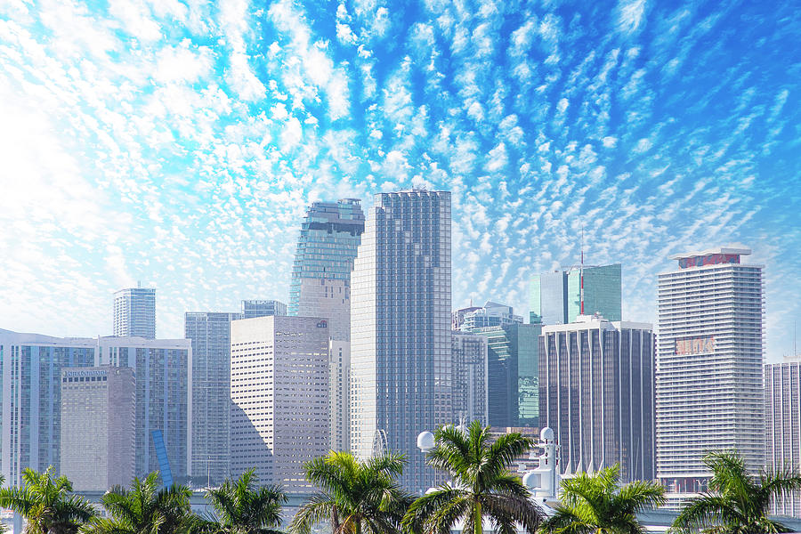 Miami Skyline Photograph by Mark Andrew Thomas