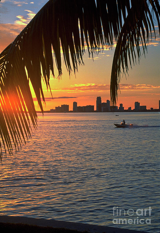 Miami Skyline Sunset Vertical Photograph by David Zanzinger