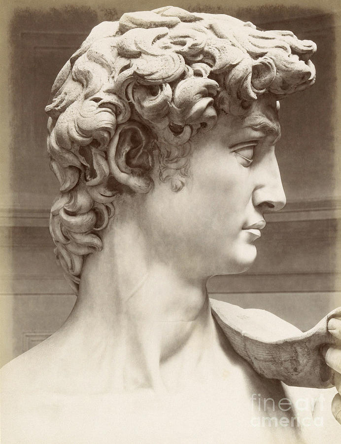 Michelangelo - David Sculpture by Edizioni Brogi