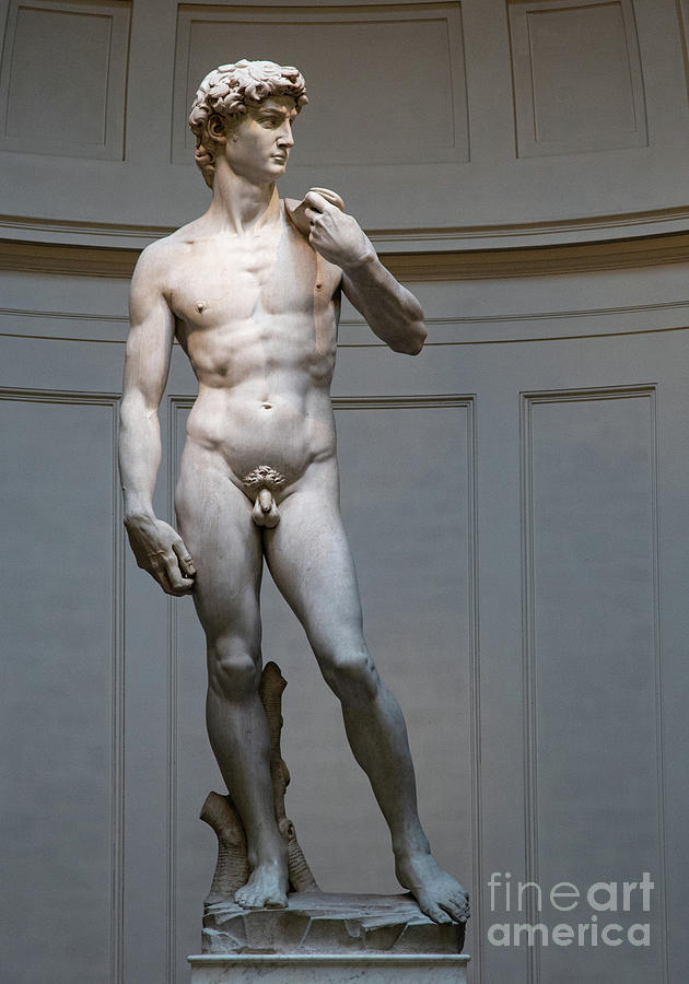 Michelangelo David Marble Statue, Accademia Gallery, Florence, Italy Art Print Photograph by Wayne Moran