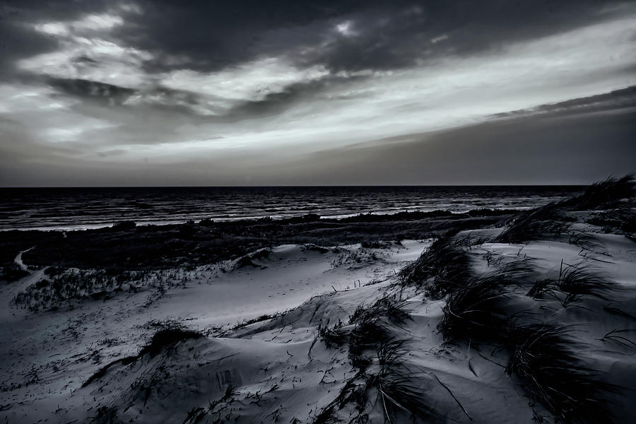 Michgan dunes in black and white  Photograph by Sven Brogren