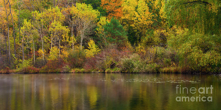 Michigan Autumn Panoramic FC10506 Photograph by Mark Graf