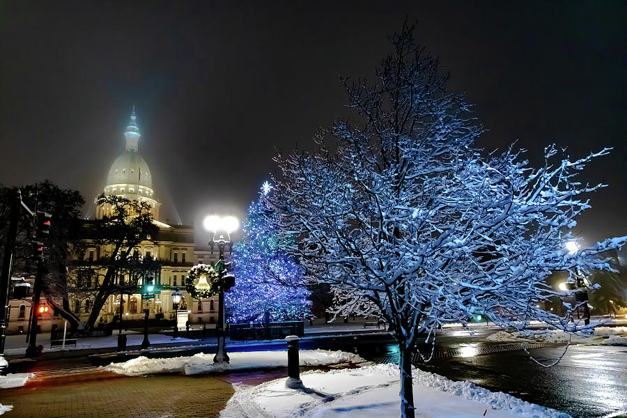 Michigan Capitol Christmas Tree 2020 Photograph by John Vial Fine Art