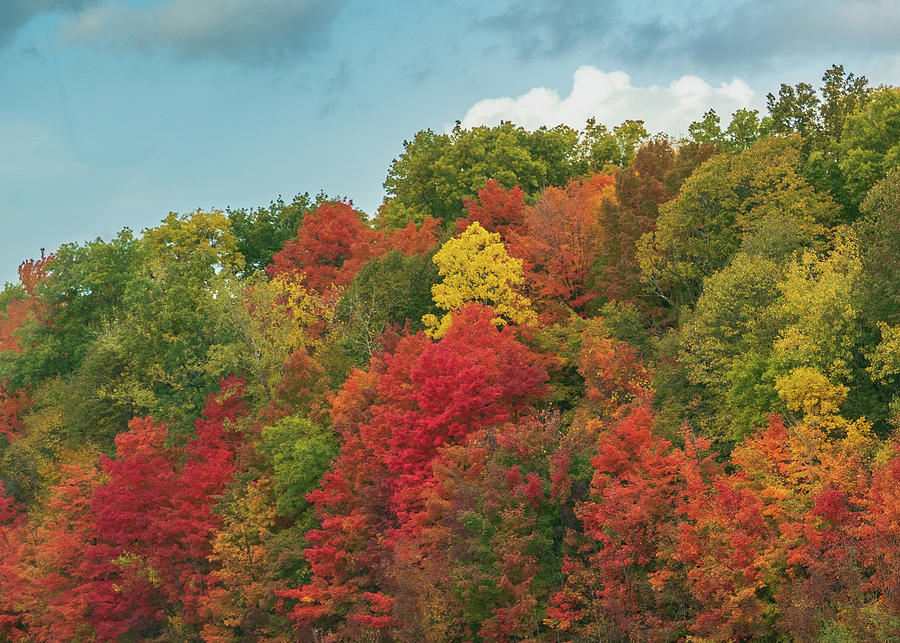 Michigan Fall Foliage 3 Photograph by David Dole - Fine Art America