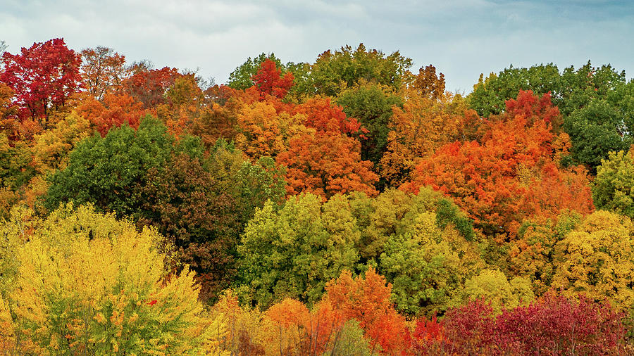 Michigan Fall Foliage 4 Photograph by David Dole - Fine Art America