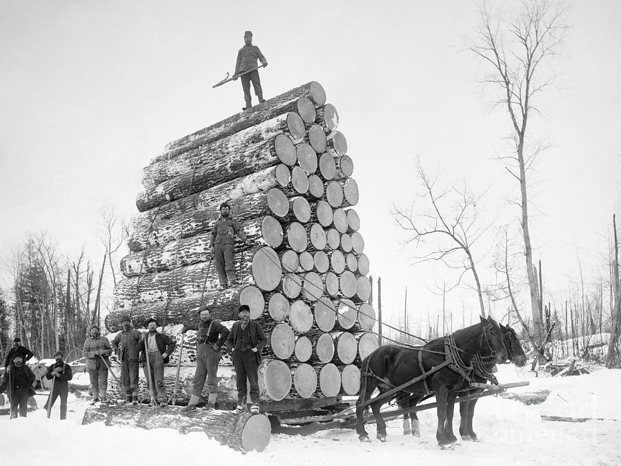 MICHIGAN LOGGING c1890 Photograph by Unknown