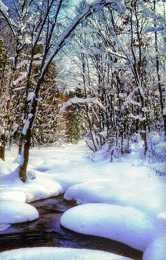 Michigan Snowscene Photograph by John A Rodriguez