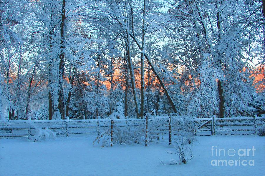Michigan Winter Digital Art by Tammy Keyes