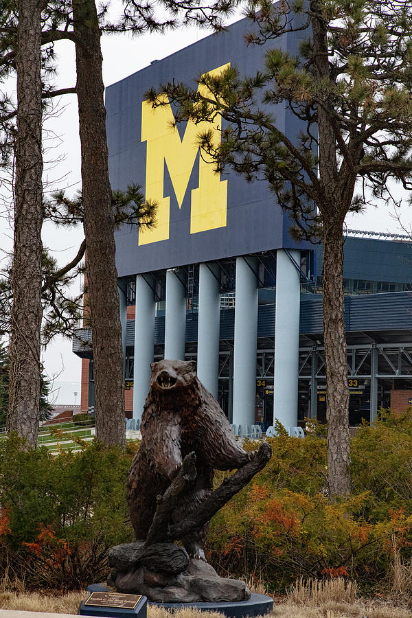 Michigan Wolverine statue Photograph by Eldon McGraw