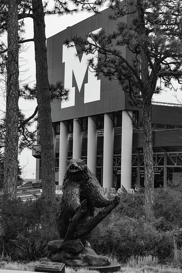 Michigan Wolverine statue in black and white Photograph by Eldon McGraw
