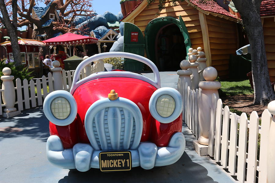 Mickey's Ride Photograph by Amy Stark - Fine Art America