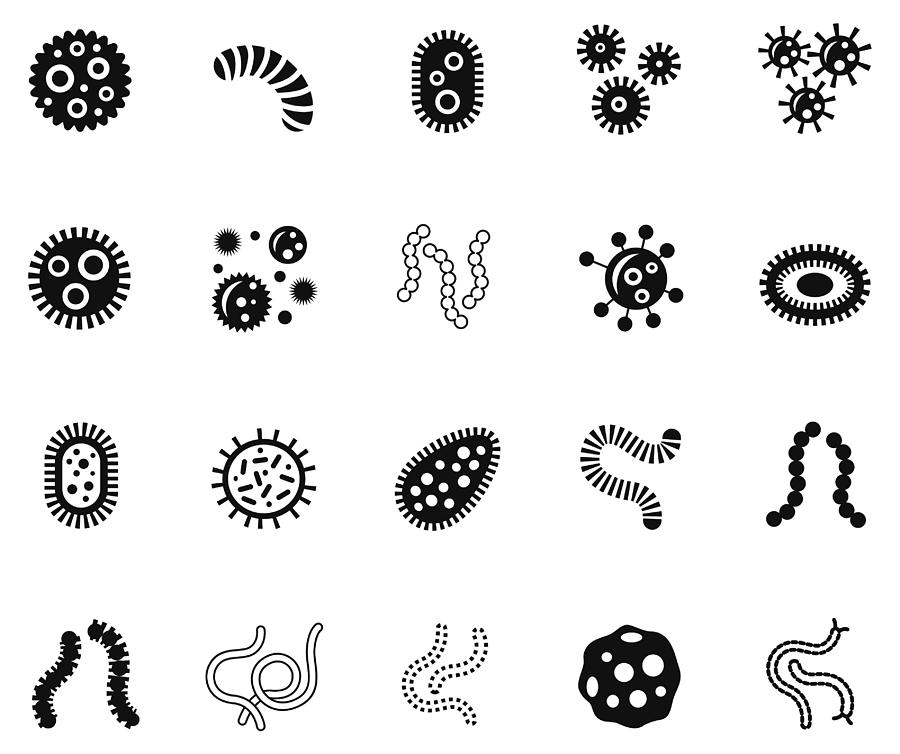 Microbe icon set Drawing by DivVector