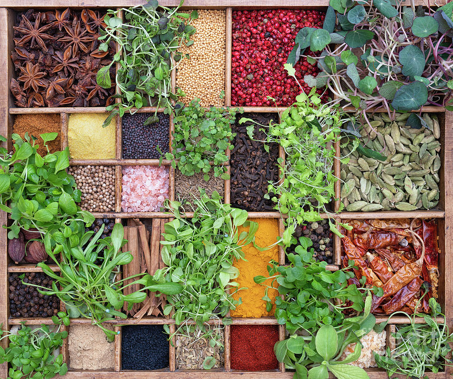 Microgreens and Spices Photograph by Tim Gainey