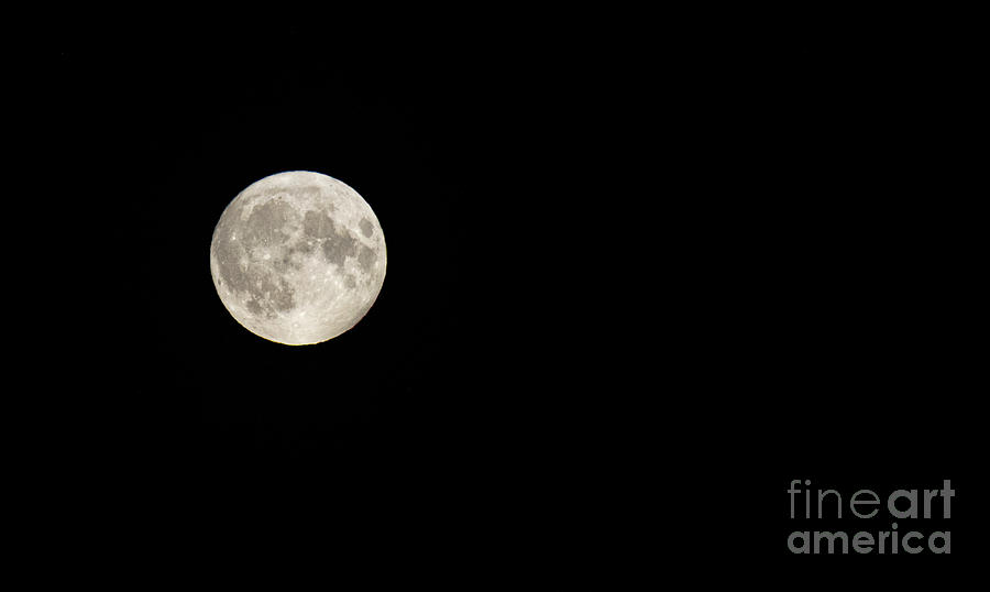 Micromoon/ Harvest Moon- Full Moon On Friday 13th 2019 Photograph by Nina Ficur Feenan