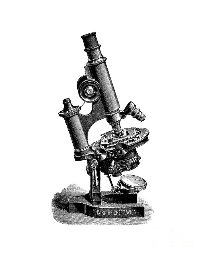 Vintage Digital Art - Microscope by Madame Memento