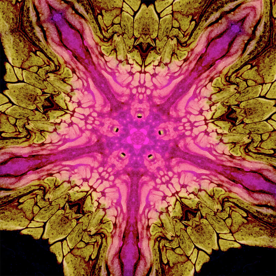 Microscope Slide Digital Art by Courtney And a Canvas - Pixels