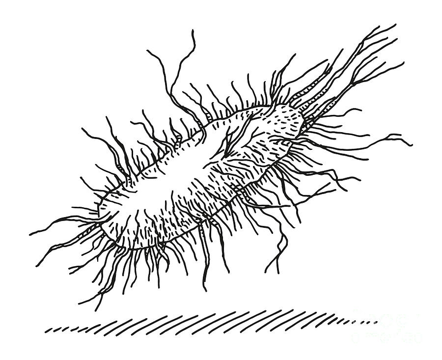 Microscopic View Of Bacteria Drawing Drawing by Frank Ramspott