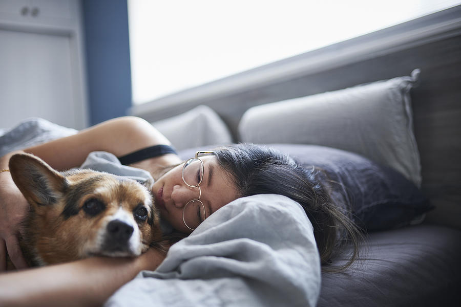 Mid adult woman lying in bed with dog Photograph by The Good Brigade