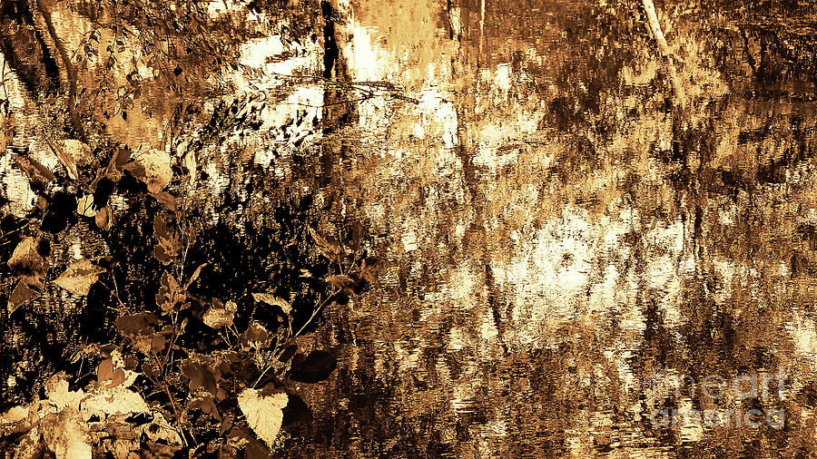 New York City Digital Art - Mid Autumn Reflection Pond - Monochromatic by Anthony Ellis