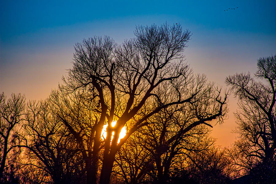 Mid March Nebraska Sunset 003 Photograph by NebraskaSC