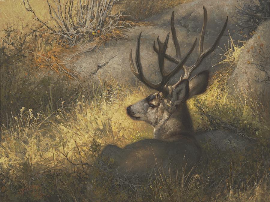 Deer Painting - Mid-Morning Siesta by Greg Beecham