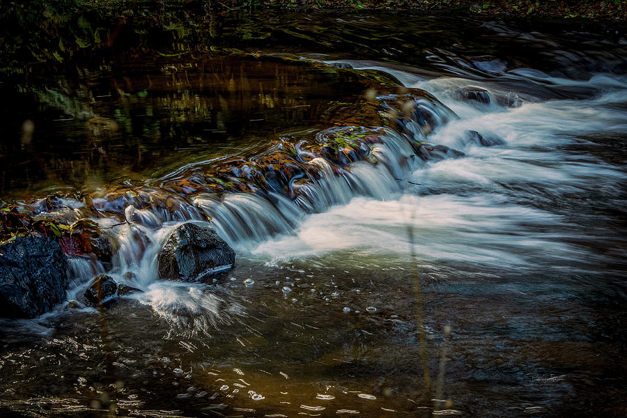 Mid Stream Adventures Photograph by Bill Posner