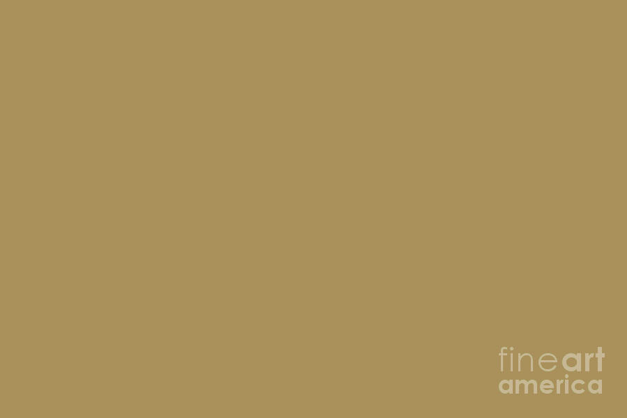 Mid-tone Brown Solid Color Behr 2021 Color of the Year Accent Shade Brazilian Citrine S310-5 Digital Art by PIPA Fine Art - Simply Solid