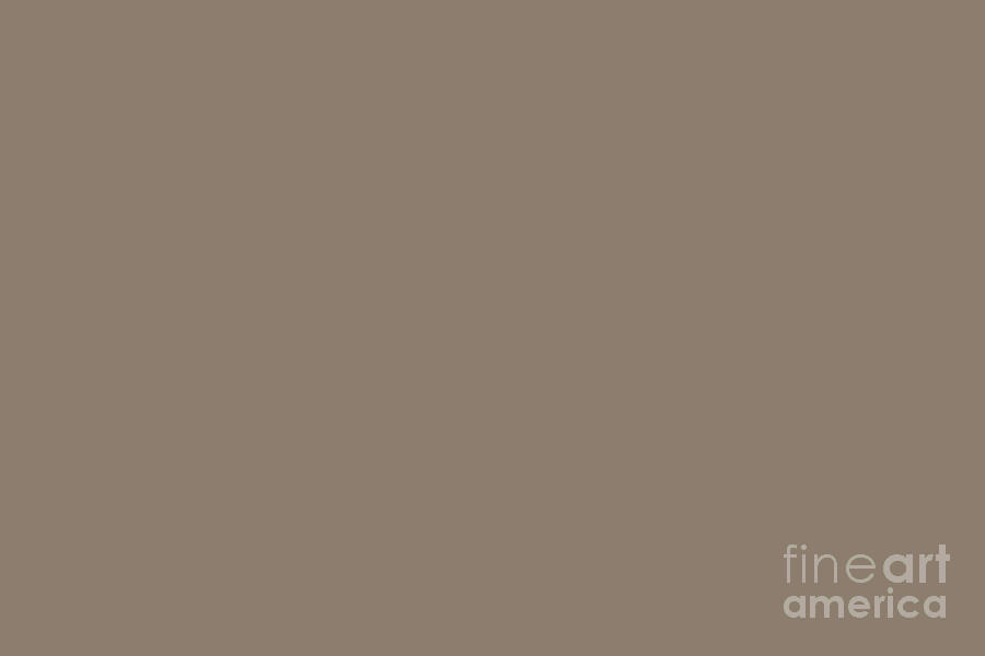 Mid-tone Brown Solid Color Behr 2021 Color of the Year Accent Shade Bridle Leather N180-5 Digital Art by PIPA Fine Art - Simply Solid