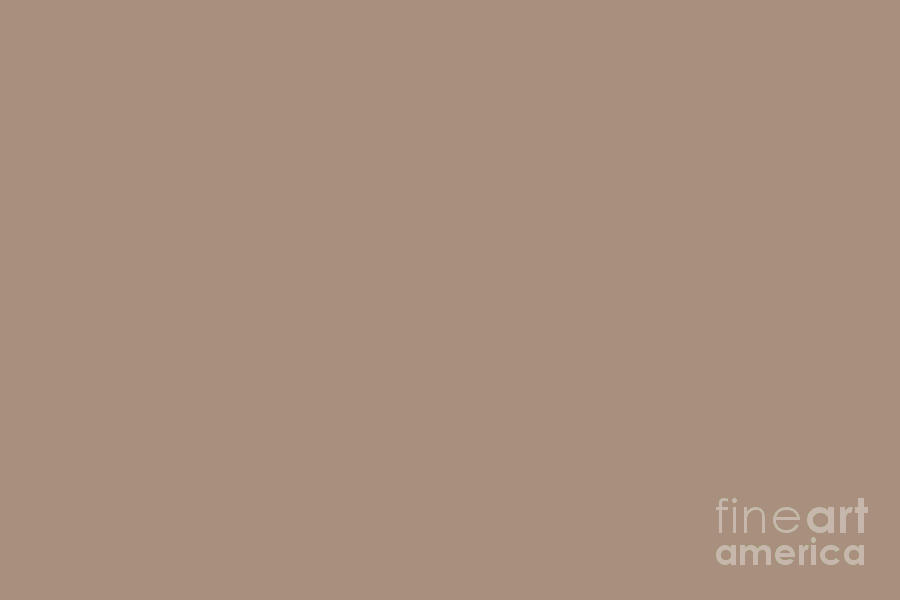 Mid-tone Brown Solid Color Pairs Pantone Natural 16-1310 Digital Art by ...