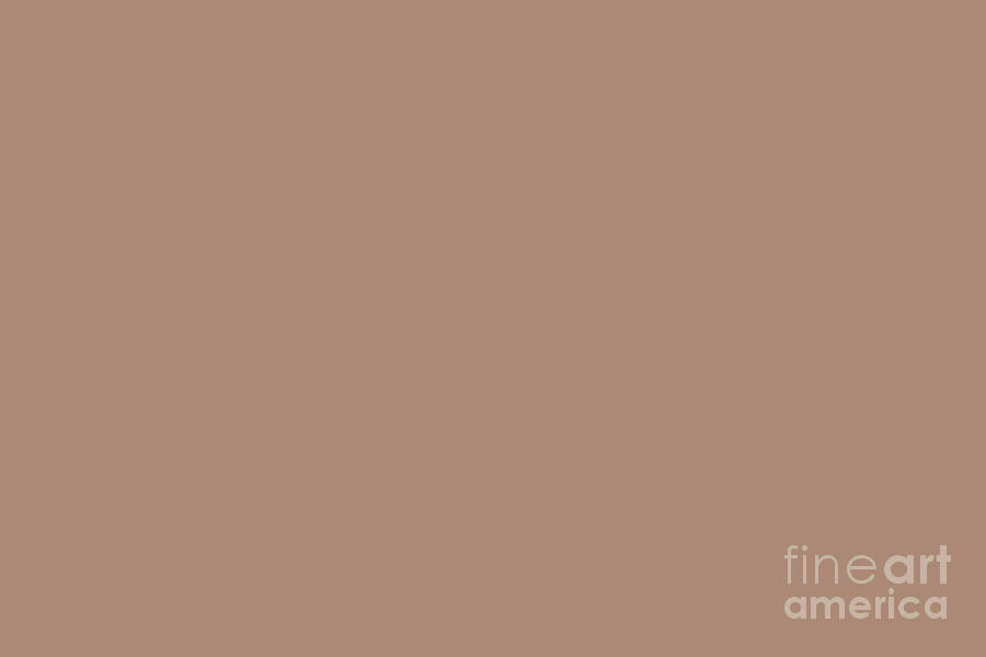 Mid Tone Brown Solid Color Pairs Pantone Praline Tcx Digital