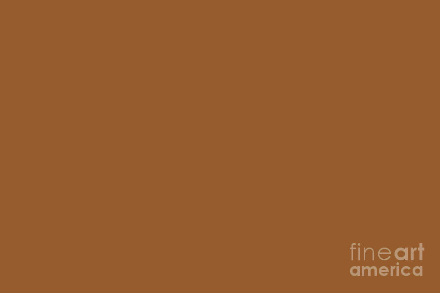 Mid-tone Brown Solid Color Pairs Pantone Roasted Pecan 17-1052 TCX ...