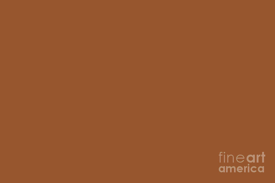 Mid Tone Brown Solid Color Pairs Pantone Sugar Almond 18 1155 TCX Digital Art By Petite Patterns