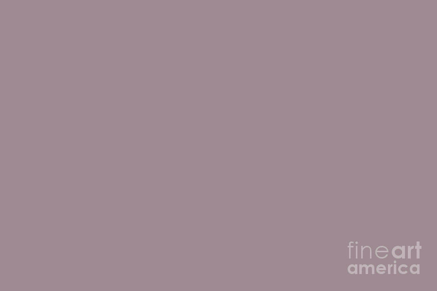 Mid-tone Dusty Violet Purple Solid Color PPG Gothic Amethyst PPG1046-5 -  2023 Trending Color Digital Art by PIPA Fine Art - Simply Solid Art Minimal  Graphic Designs - Pixels