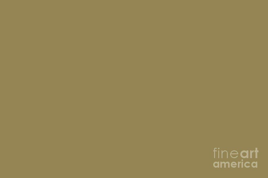 Mid-tone Golden Brown Solid Color Pantone Fennel Seed 17-0929 Accent to Color of the Year 2021 Digital Art by PIPA Fine Art - Simply Solid