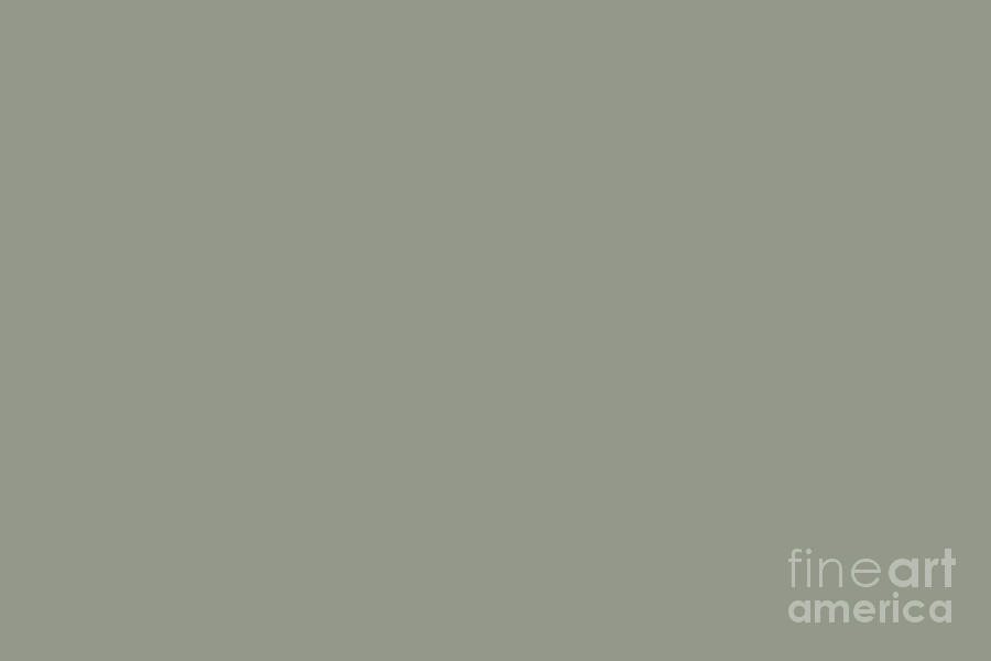 Midtone Grey Green Solid Color Pairs To Sherwin Williams Evergreen Fog SW 9130 Digital Art by PIPA Fine Art - Simply Solid