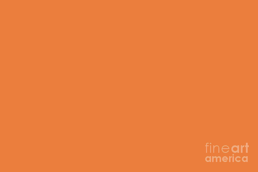 Mid Tone Orange Solid Color Pairs Pantone Sun Orange 16 1257 TCX Digital Art By Petite Patterns