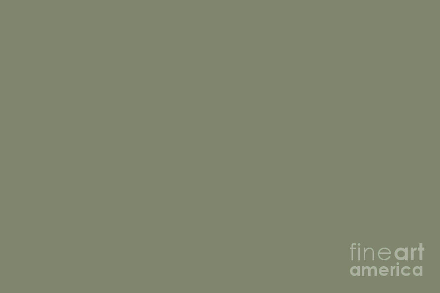 Mid-tone Sage Solid Color Pantone Oil Green 17-0115 Accent to Color of the Year 2021 Digital Art by PIPA Fine Art - Simply Solid