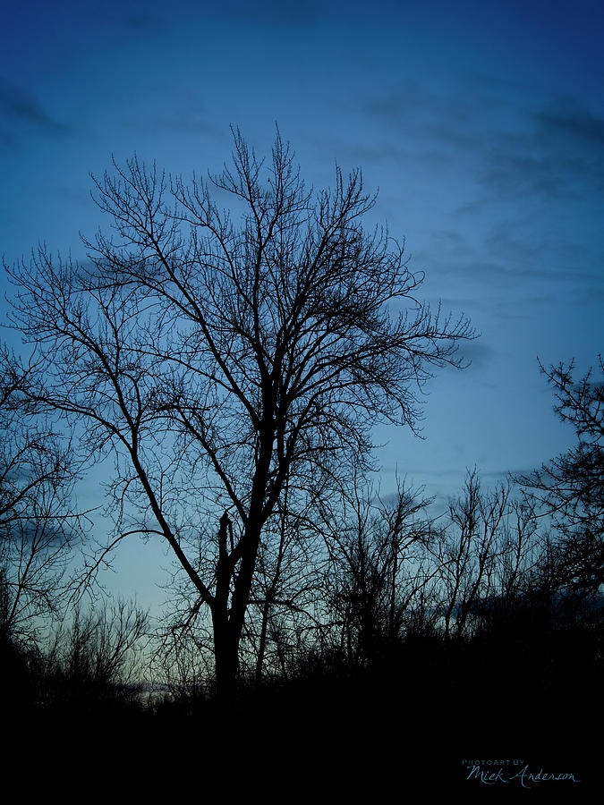 Mid Winter Dusk In The Rogue Valley Photograph