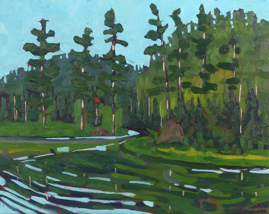 Midday Dumoine River from Lac Pinceau Painting by Phil Chadwick