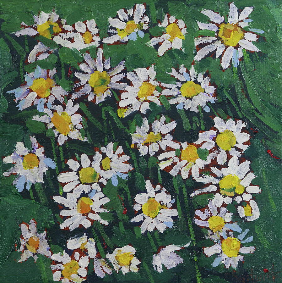 Midday July Daisies Painting by Phil Chadwick